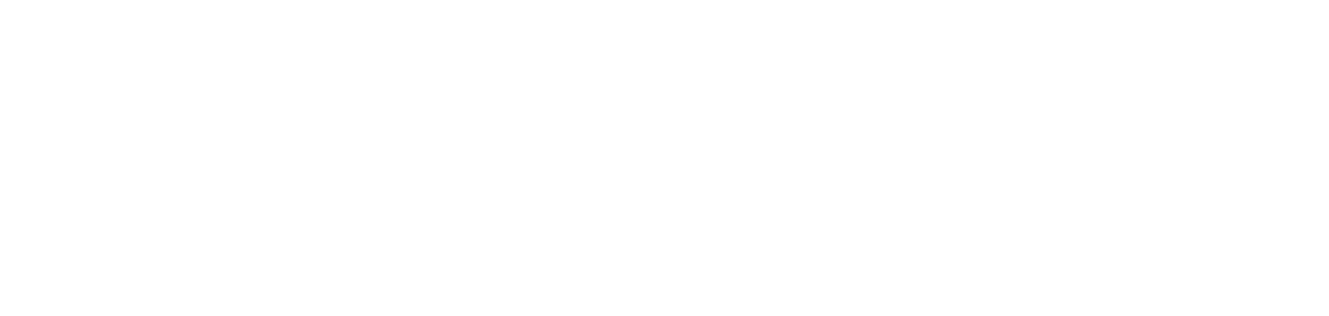 Digimii®_Logo_Vit