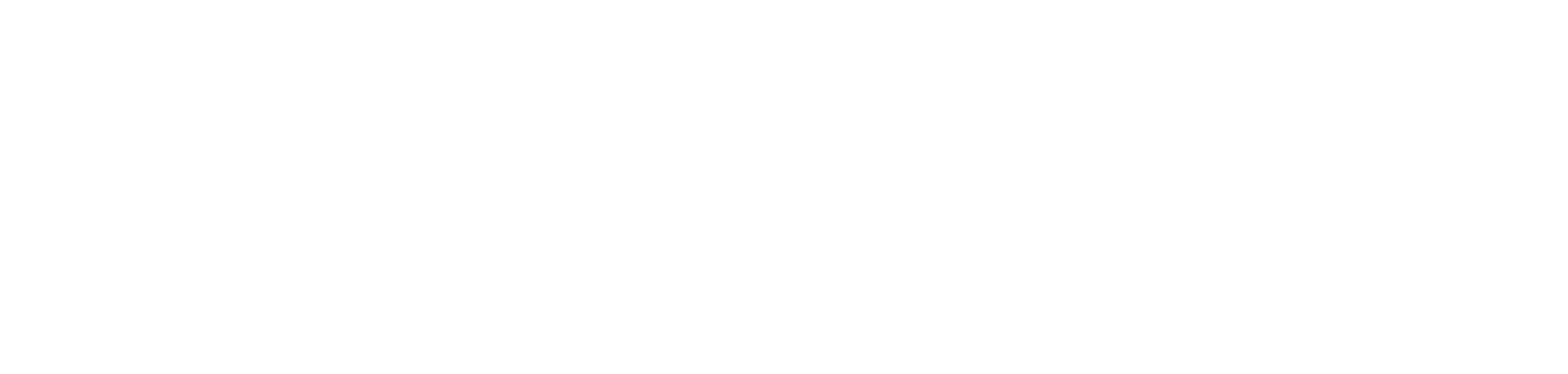 Digimii®_Logo_Vit